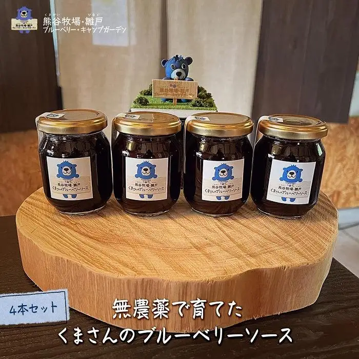 【定期便 全4回】からだにやさしい　ゆふいんの牛乳・ベーグル・ブルーベリーソースなど～ゆふのワクワクセット（２）～