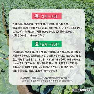 【野菜 定期便 4回】選りすぐり 旬の京野菜 詰め合わせセット 