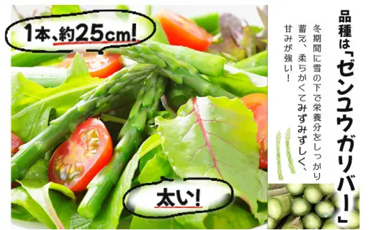 【令和8年産】北海道岩見沢産 春グリーンアスパラ 2Lサイズ 1kg【41103】