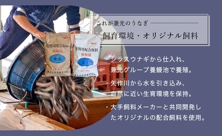 炭火手焼き 愛知県三河一色産　うなぎ蒲焼き　特大　2尾（1尾あたり186g以上） 国産うなぎ うなぎ ウナギ 鰻 鰻の蒲焼き 鰻の蒲焼 蒲焼 蒲焼き 土用 土用の丑の日 ・U037-17