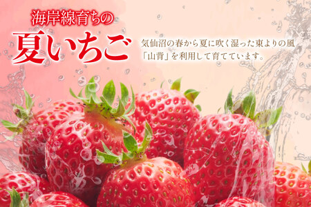 訳あり 冷凍 夏いちご すずあかね 約1kg [水山養殖場 宮城県 気仙沼市 20564004]