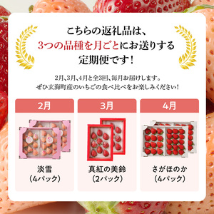 ★予約受付★ 玄海町産いちご ミックス定期便DX ／ さがほのか 淡雪 真紅の美鈴 果物 フルーツ 定期便【Z055】