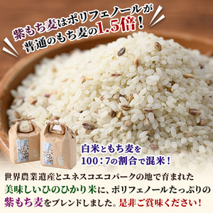 ＜令和7年産 ＞宮崎県日之影町産 もち麦米 (900g×5袋) 数量限定 紫もち麦 ヒノヒカリ 米 精米 国産 小分け 【AF001】【株式会社ひのかげアグリファーム】
