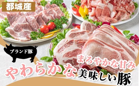 「きなこ豚」焼肉・とんかつセット 計2.1kg_MJ-1204_(都城市) ブランド豚 豚カツ用 トンカツ用(ロース / 肩ロース) 焼き肉用 (豚バラ / 豚肩ロース) 切り落とし 小間切れ