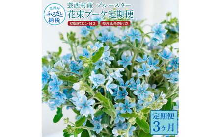 《3ヵ月定期便》 ブルースター 花束 初回花瓶付 延命剤付き