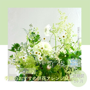 《6ヵ月定期便》生花アレンジ  供花M 