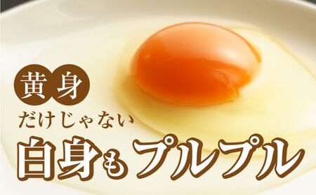 アスタキサンチンたまごちゃん 10個入り×3パック 卵 鶏卵 アスタキサンチン 抗酸化パワー 直売店 絶品 生食 人気 美味しい 話題 卵かけごはん 新鮮 
