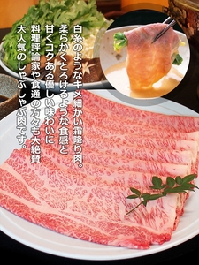 （冷凍） 大和榛原牛 しゃぶしゃぶ用 特上 ロース 600g シート巻き仕上 ／ うし源 本店 ふるさと納税 A5 スライス お取り寄せ 父の日 奈良県 宇陀市お中元 贈答用 贈り物 暑中見舞い お土産 お歳暮 内祝いまとめ買い 美味しい部位 