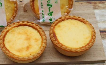 【中島屋菓子店】チーズタルト「ひとさらのちーず」9個 [0010-0315]