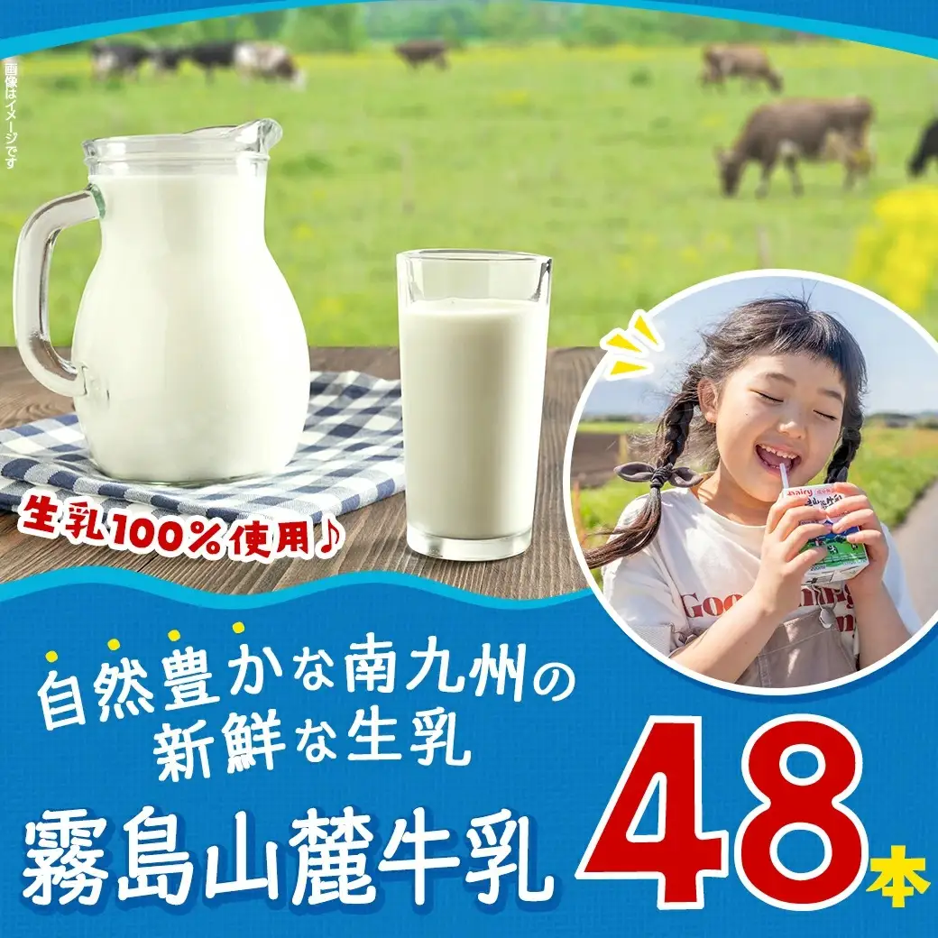 霧島山麓牛乳48本セット〔MJ-2307〕_ (都城市) 常温保存可能なパック牛乳 無菌充填 生乳100％使用 成分無調整牛乳 200ml 24本 南日本酪農協同 Dairy デーリィ ロングライフ飲料 防腐剤 保存料不使用