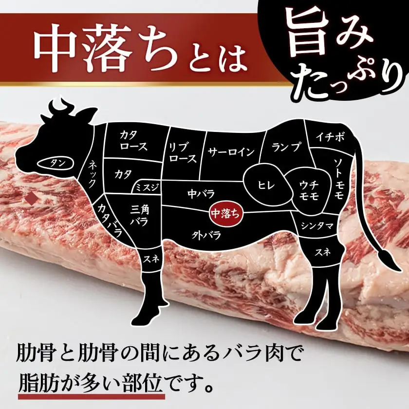 宮崎牛中落ち1.2kg〔MJ-2509〕_(都城市) 宮崎県産宮崎牛 A4ランク以上 牛中落ち肉 600g 2パック 牛中落ちカルビ ゲタ 中バラ 国産 牛バラ肉 カレー おでん 煮込み料理