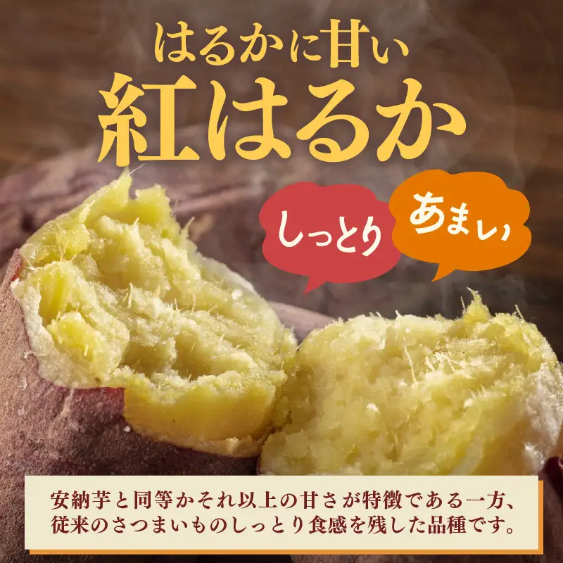 【先行予約】あわら市波松産 紅はるか 3kg / 厳選 不揃い さつまいも 土付き 熟成 焼き芋 福井県 薩摩芋 密芋 スイートポテト しっとり ほっくり 自然のスイーツ 極甘 農研機構許諾済 メディアで人気 腸活 ※2026年10月上旬以降順次発送予定 [aw084-a001]