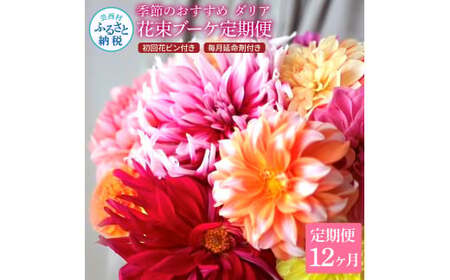 《12ヵ月定期便》 ダリア 花束 初回花瓶付 延命剤付き