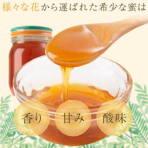 【A51003】国産西洋蜂蜜 生百花蜜(1.1kg・550g×2) 国産 鹿児島県産 蜂蜜 はちみつ ハチミツ ギフト プレゼント 贈答 家庭用 【芳治養蜂】