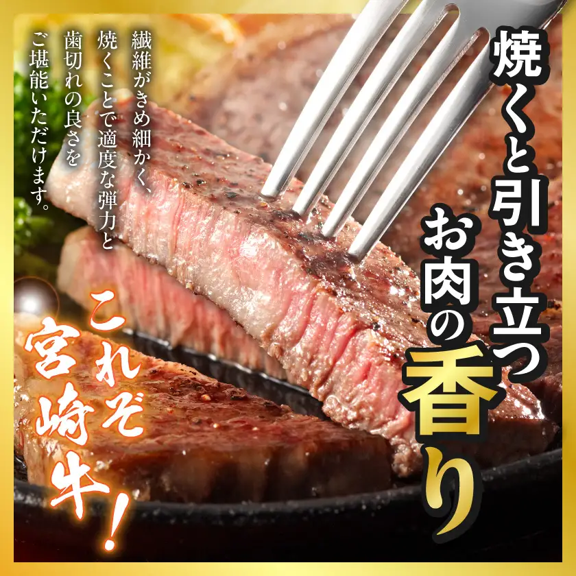 宮崎牛サーロインステーキ200g×2枚〔18-4201〕_(都城市)