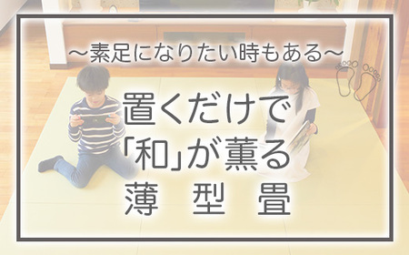 【置くだけでくつろげる畳空間に】 8ミリ置き畳「凪-NAGI-」 1枚