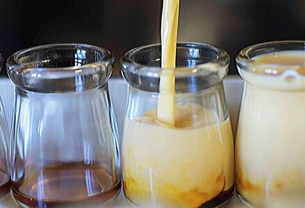 【具琥】房総地たまごプリン１０個 [0011-0036]