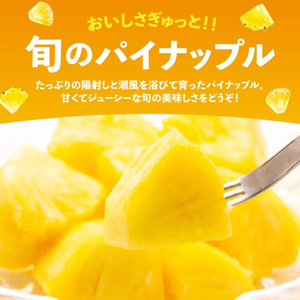 石垣島産パイナップル 2～6個 約3kg  KP-14