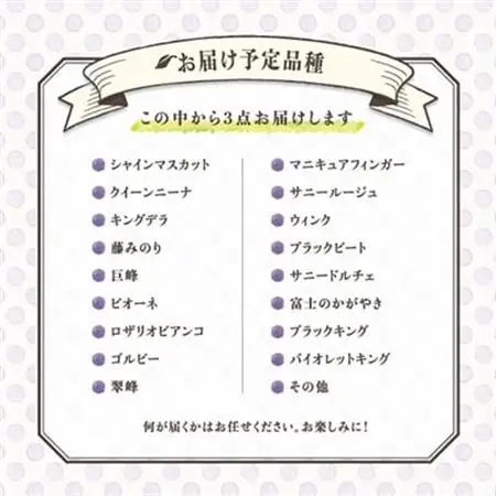 【発送月固定定期便】葡萄好きさん、集まれ～!人気のフルーツぶどうの定期便全3回【配送不可地域：離島・沖縄県】【4005030】