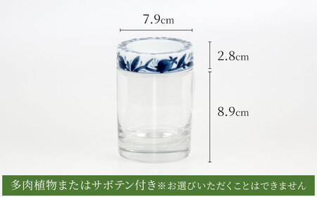 【美濃焼】SaiSui Blue（染果実）植物付き【大東亜窯業】インテリア 雑貨 観葉植物 多肉植物 サボテン グリーン 水で育てる 省スペース 手軽 簡単 初心者 写真映え かわいい おしゃれ [MAG069]
