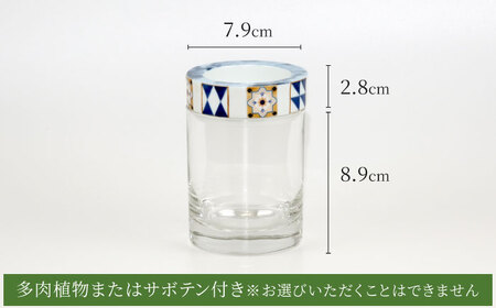 【美濃焼】SaiSui Morocco（Blue＆White）植物付き【大東亜窯業】インテリア 雑貨 観葉植物 多肉植物 サボテン グリーン 水で育てる 省スペース 手軽 簡単 初心者 写真映え かわいい おしゃれ [MAG072]