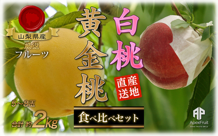 ＜2026年発送先行予約＞南アルプス市産　大玉の桃と黄金桃の食べ比べセット　約2kg（4～6玉） ALPDD015
