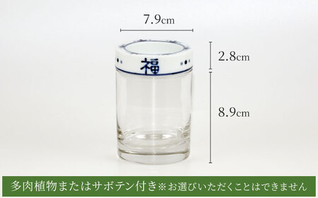 【美濃焼】SaiSui Blue（福福）植物付き【大東亜窯業】インテリア 雑貨 観葉植物 多肉植物 サボテン グリーン 水で育てる 省スペース 手軽 簡単 初心者 写真映え かわいい おしゃれ [MAG067]