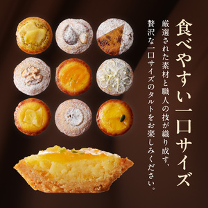タルト専門店 人気 タルトレット 9個 詰め合わせ 一口サイズ タルト ケーキ フルーツ 焼き菓子 ドイツ菓子 誕生日 奈良県 生駒市 お取り寄せ スイーツ デザート おやつ 洋菓子 熨斗対応 贈り物 食べ比べ 手土産 冷凍 送料無料