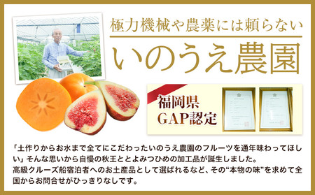 コンフィチュール＆セミドライフルーツ とよみつひめ いのうえ農園 株式会社アジア開発貿易《30日以内に出荷予定(土日祝除く)》福岡県 鞍手郡 鞍手町 ドライフルーツ いちじく イチジク 無花果 フルーツ くだもの 果物 ジャム