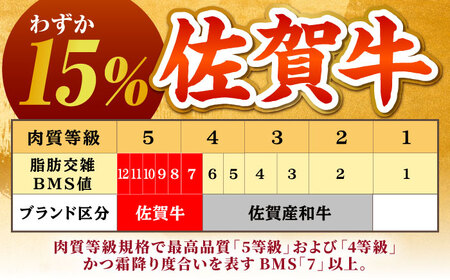 ＜全12回定期便＞佐賀牛サーロインステーキ250ｇ HCS055 ステーキ 牛肉