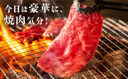 佐賀牛 がばいフーズのおすすめセットコウネ・ロース・カルビ1kg HCS074 佐賀牛 和牛