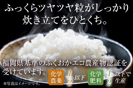 渡さんのこだわり米 1kg 夢つくし 元気つくし にこまる ふくおかエコ農産物認証 米 精米 古賀市産 お取り寄せグルメ お取り寄せ 福岡 お土産 九州 福岡土産 取り寄せ グルメ 福岡県