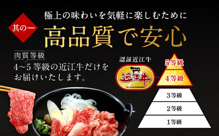 近江牛切り落とし 500ｇ 西川精肉店 滋賀県 東近江市 A-A25 和牛 牛肉 肉 切り落とし 焼肉 すき焼き 炒め物 ギフト お取り寄せ 高級 近江牛