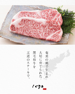 サーロインステーキ 250g×2枚 A152-001 サーロイン ステーキ 牛肉 国産 黒毛和牛 黒毛 和牛 脂の旨み 焼肉 鉄板焼き お料理 ごはんのおかず 食品