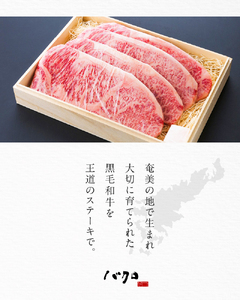 サーロインステーキ 1枚250g 4枚入り A152-002 サーロイン ステーキ 牛肉 国産 黒毛和牛 黒毛 和牛 脂の旨み 焼肉 鉄板焼き お料理 ごはんのおかず 食品