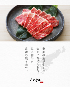 特上ロース焼肉 250g A152-003 ロース 牛肉 国産 黒毛和牛 黒毛 和牛 脂の旨み 焼肉 鉄板焼き お料理 ごはんのおかず 食品