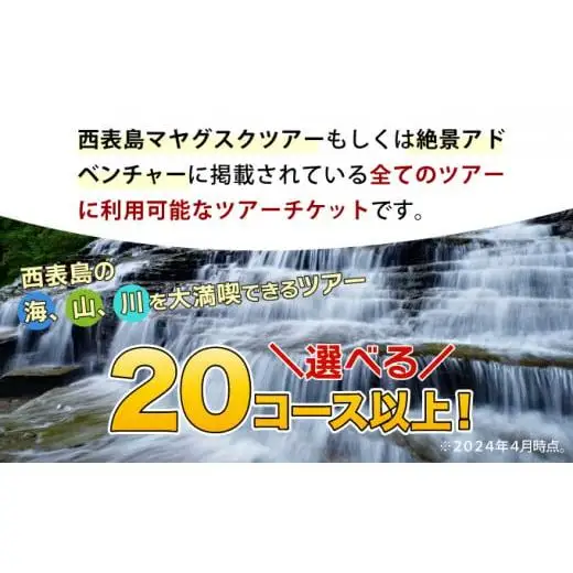 西表島 アクティビティ ツアーチケット 9,000円 