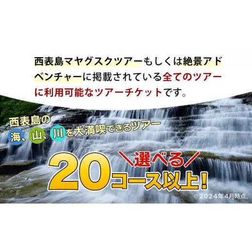 西表島 アクティビティ ツアーチケット 15,000円 