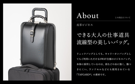 豊岡鞄 ARTPHERE アートフィアー ニューダレス タッチタフ F4 DS4-TT