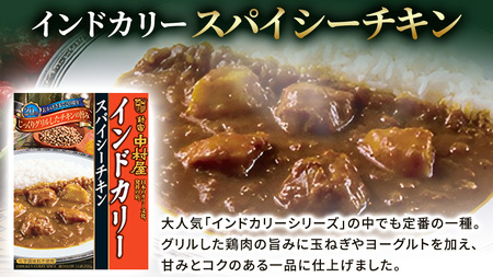 新宿 中村屋 インドカリー スパイシーチキン 40個