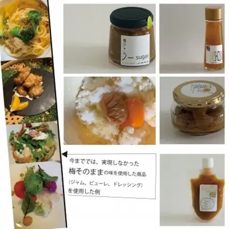 ゼロ塩梅お試しセット_調味料 塩  しお  調味料 ドレッシング    調味料 はちみつ  ハチミツ 蜂蜜  惣菜・加工品 ジャム 缶詰・瓶詰   惣菜・加工品  缶詰・瓶詰 _【1445016】