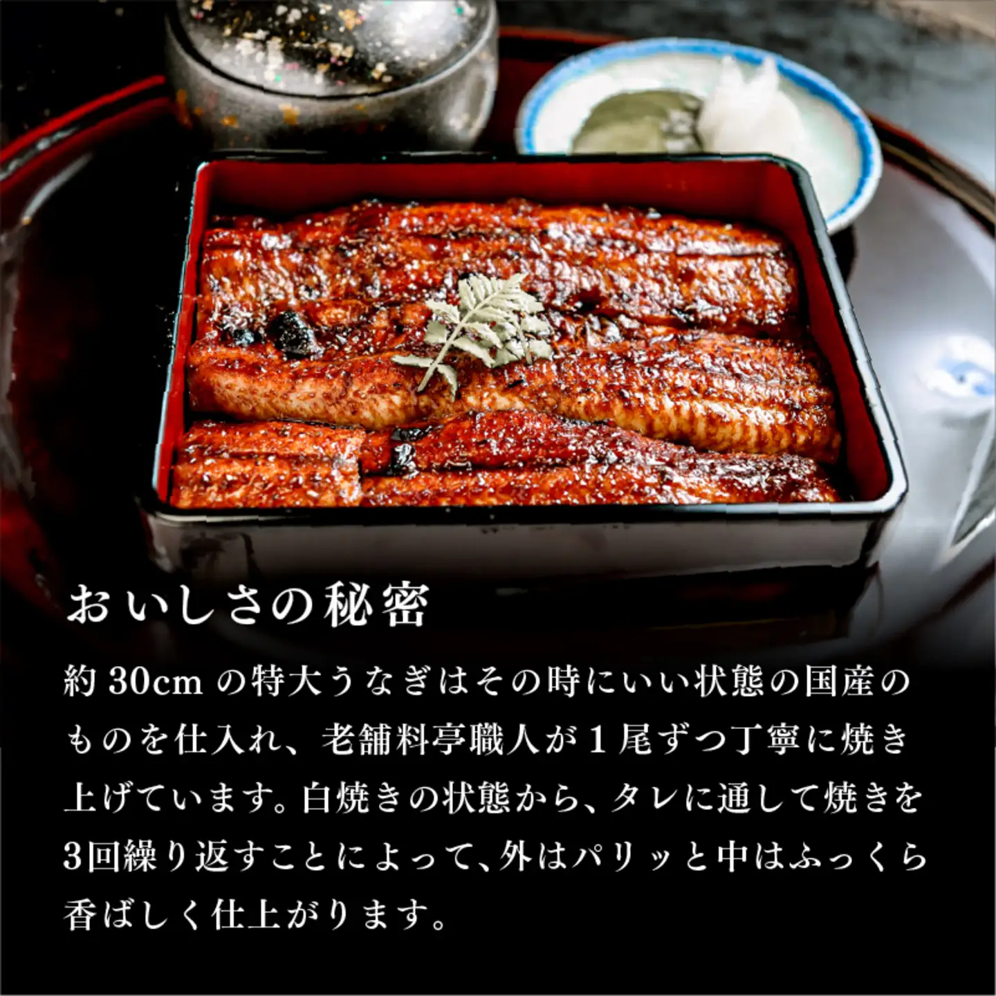 うなぎの蒲焼【特大サイズ１尾】
