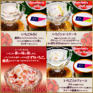 【2026年 5月以降発送】いちご農家の【けずりいちごといちごジェラート】アソートセット