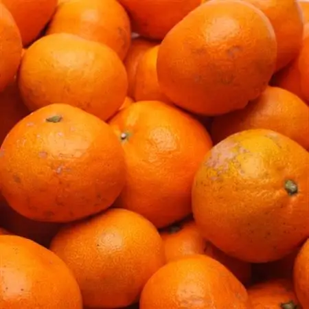家庭用 有田みかん5kg+250g(傷み補償分)【光センサー選果】【訳あり】【配送不可地域：離島・北海道・沖縄県】【1313205】