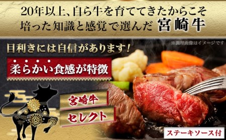 宮崎牛【赤身霜降り】ロースステーキ200g×2枚_18-6502_(都城市) 牛肉 宮崎牛 ロースステーキ400g(200g×2) ステーキソース付き サシ入り赤身霜降り牛肉 ステーキ 鉄板焼き ギフト 贈答用