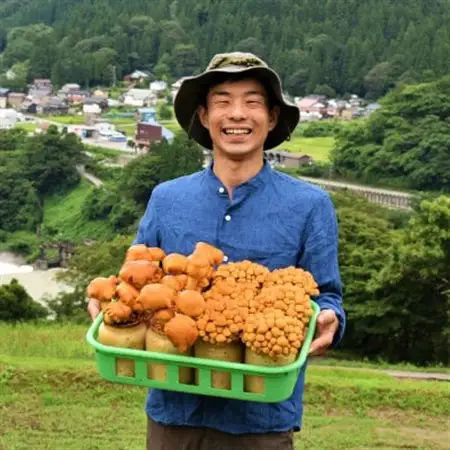 白山の幸(竹)_野菜  きのこ _【配送不可地域：離島・北海道・沖縄県】【1259400】