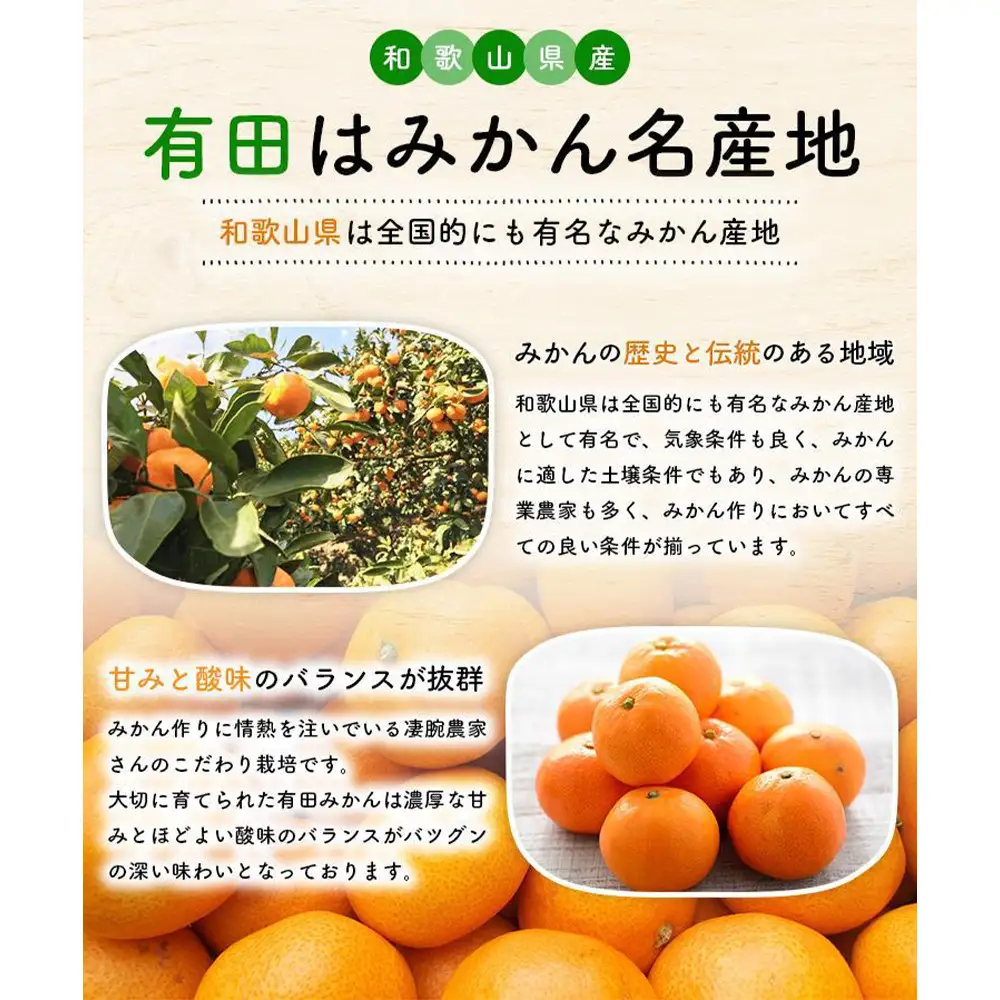 【ご家庭用】 完熟有田みかん 約3kg　訳ありみかん［MS3-2］