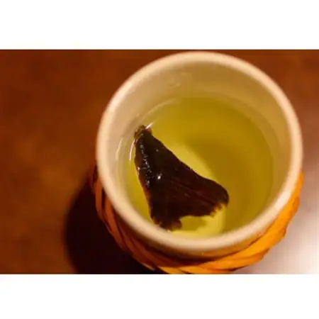 [河内とらふぐ]活き締めとらふぐ鍋用切身・乾燥ひれセット(冷蔵品)【配送不可エリア注意】_魚介・海産物 ふぐ 鮮魚 フグ 河豚_【配送不可地域：離島・北海道・沖縄県・東北・関東・九州】【1289621】