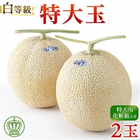 【BIGサイズ】クラウンメロン(白等級)特大玉　2玉【通年出荷】　化粧箱入_メロン 大玉 高級_【配送不可地域：離島・北海道・沖縄県】【1416434】
