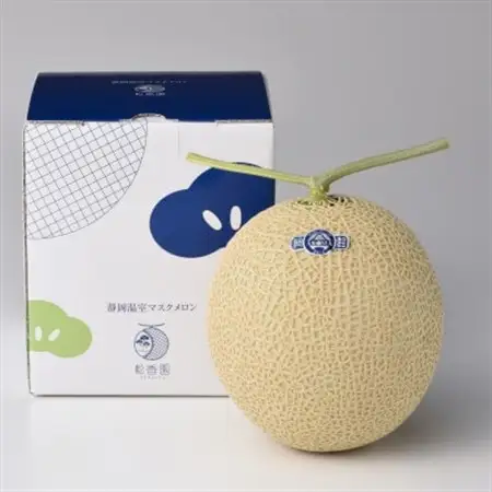 静岡温室マスクメロン1個入(化粧箱入)_メロン マスクメロン めろん 化粧箱 箱 1個 果物 くだもの フルーツ 甘い おいしい デザート 産直 産地直送 贈答 ギフト プレゼント 贈り物 静岡県 送料無料_【配送不可地域：離島・北海道・沖縄県】【1438666】